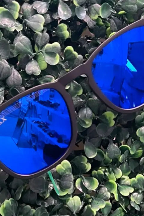 Ferris Sunglasses