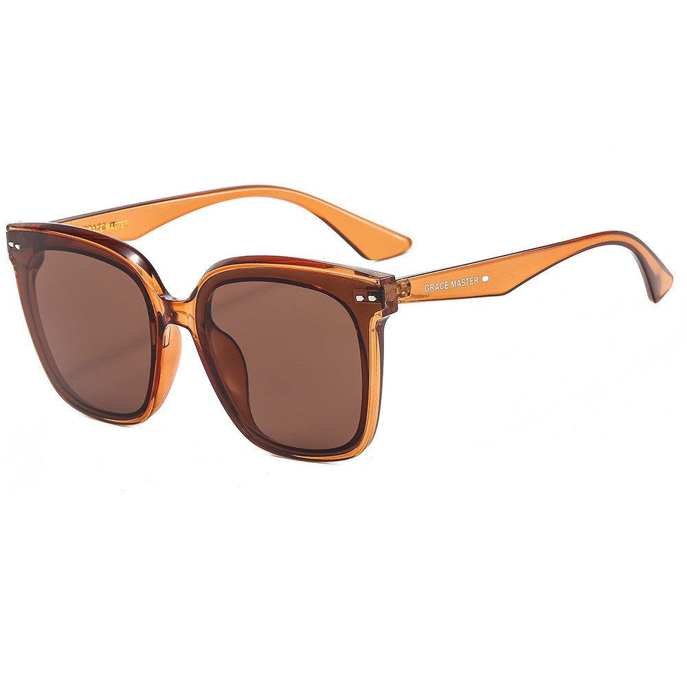 Wayfarer Sunglasses