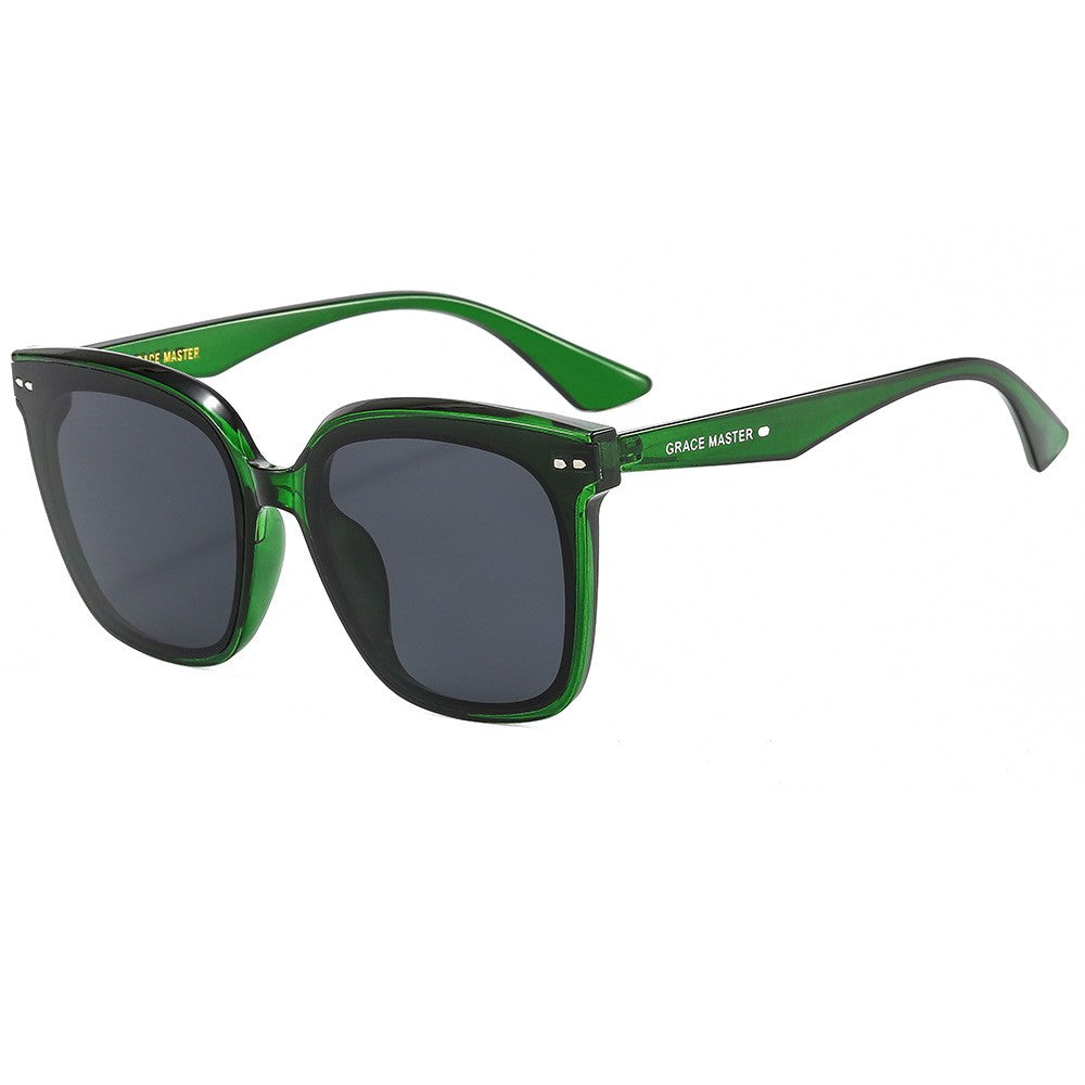 Wayfarer Sunglasses