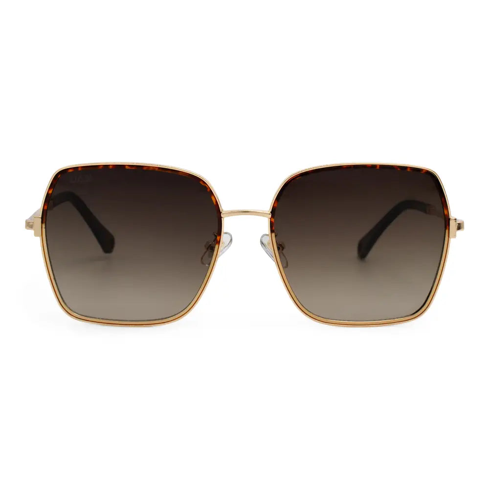 Aspen Sunglasses