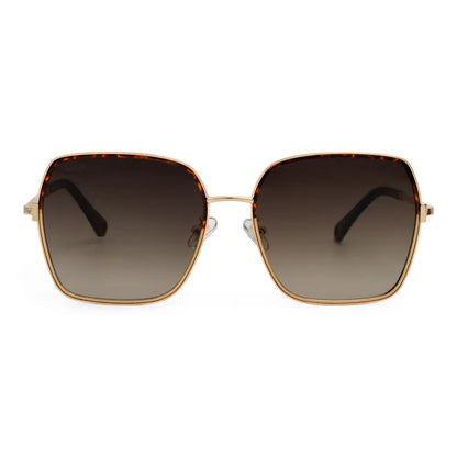 Aspen Sunglasses