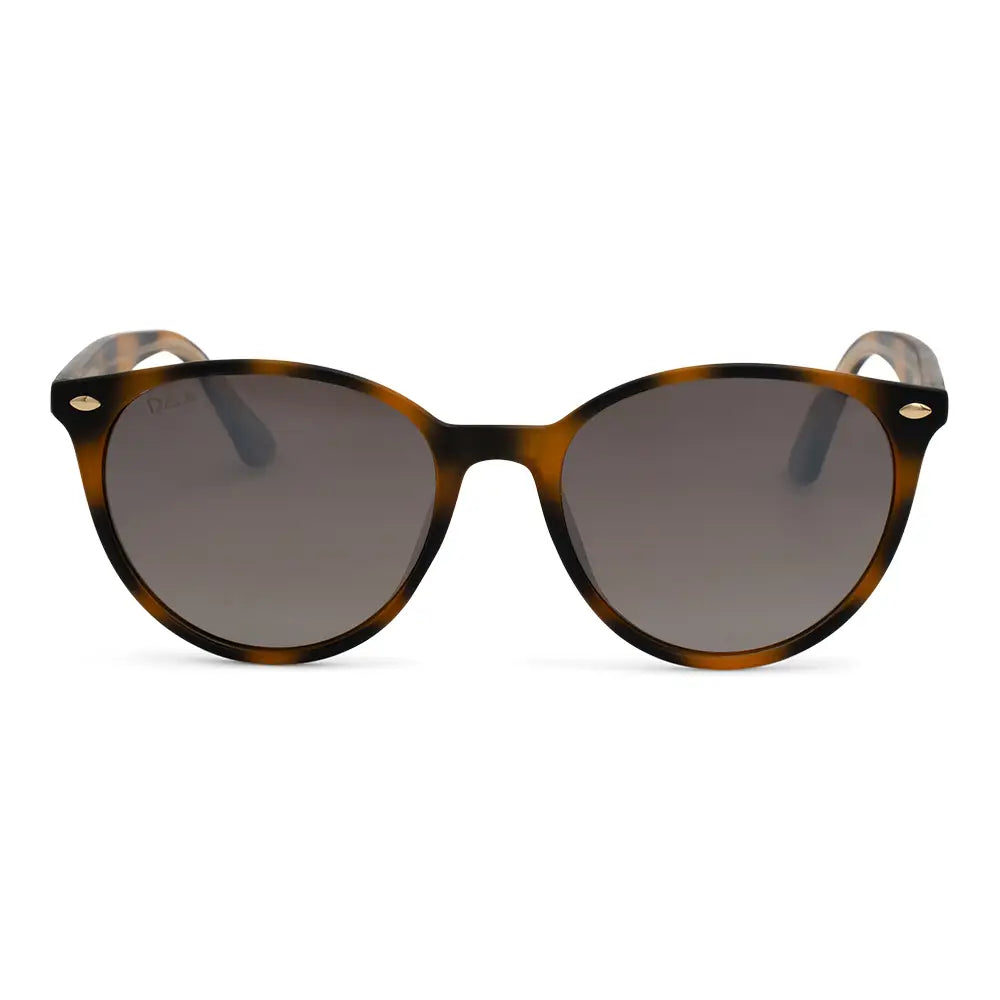 Asher Sunglasses