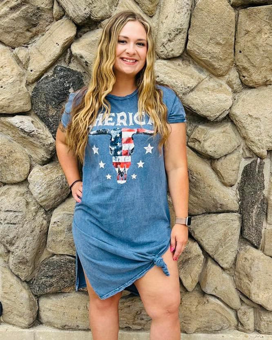 AMERICA GRAPHIC DRESS